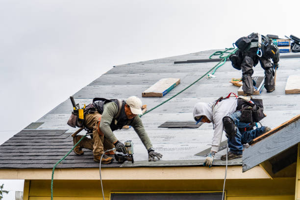 Professional Gutter Installation technician working in Chester, TX